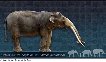 From prehistoric times to the present day